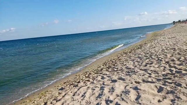 ЗАТОКА 2021. Спа салон из водорослей. Море.Чайки.