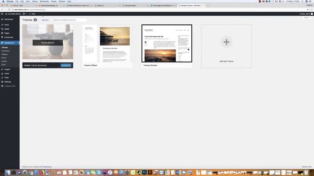 Radio wordpress theme installation