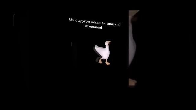 Гуси лебеди!