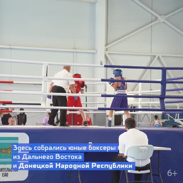 Спортсмены из Амвросиевки участвуют в соревнованиях по боксу в ЕАО
