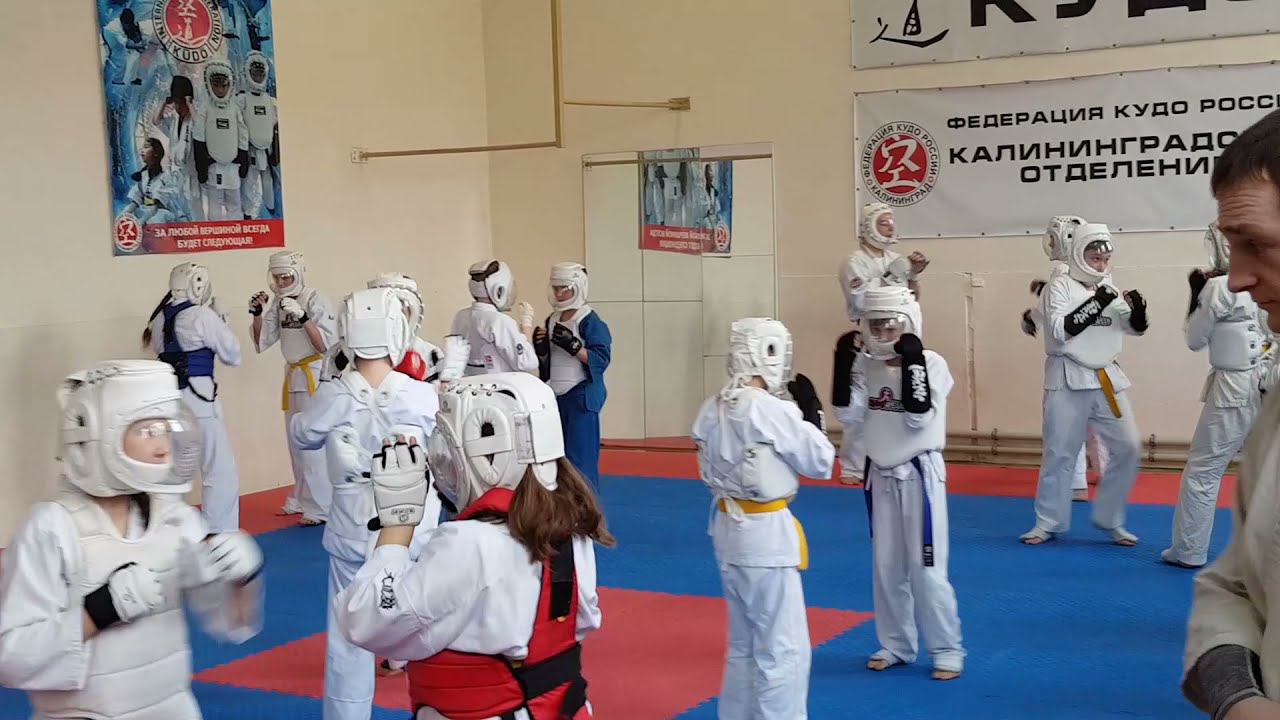 Весенняя аттестация КУДО (Калининград, 11.04.2021)