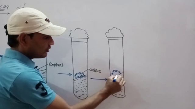 Tissue Culture | Methods of plant tissue culture |Plant propagation |Bio |Class 12 |Hin |Kishor Sir