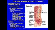 lab 1 anatomy physiology