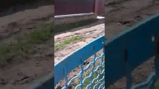 отмостка