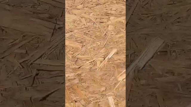 Не обшивай фасад осп, OSB