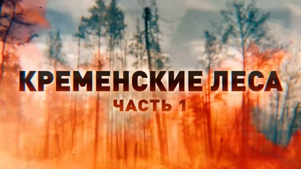 Эксклюзив RT: борьба с украинскими дронами в опасной зоне сожжённых кременских лесов