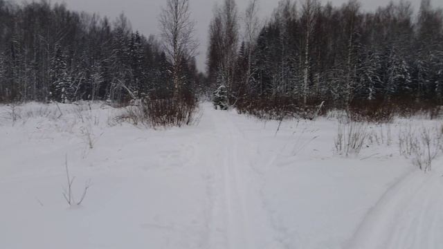 Кольчугино - лыжная трасса МОГЭС (360 градусов)
