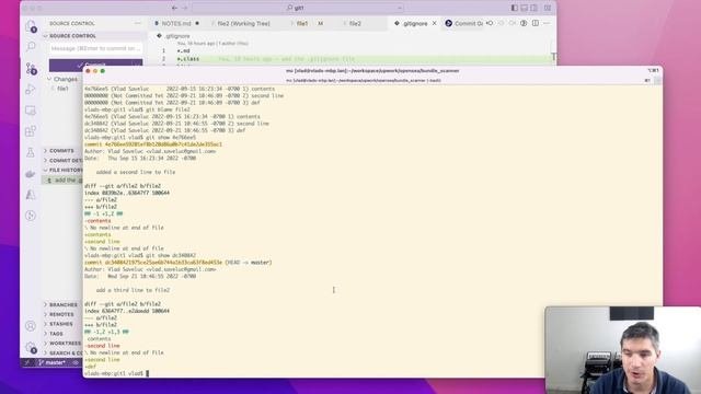 Git Course 13: Working locally in a single branch