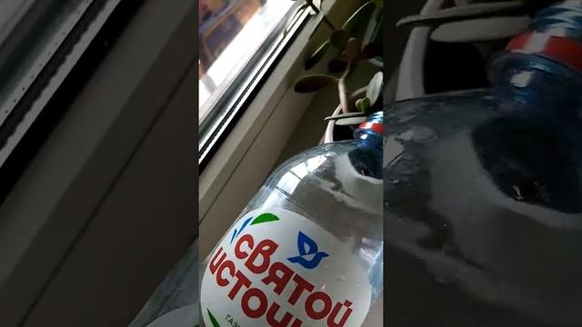 Заботимся о растениях. Поливаем цветы.