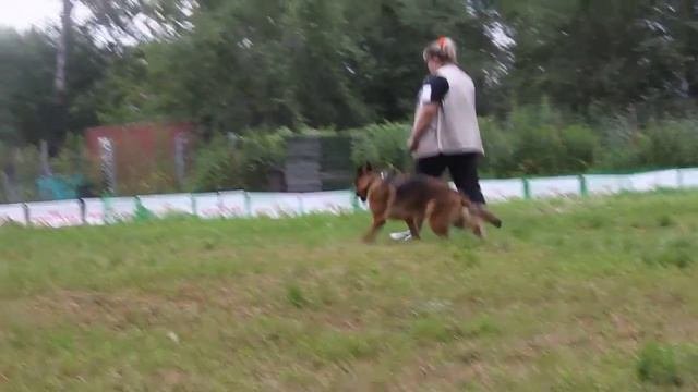 г.Красноярск 27.07.13. ПРК - АНТЕНОР ХОФ БРИДЖИТ