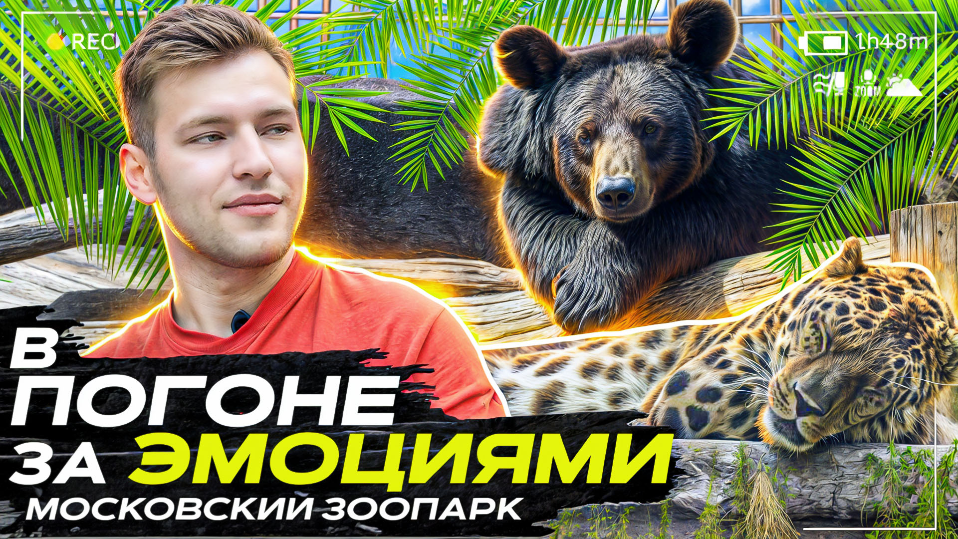Реалити-шоу "В ПОГОНЕ ЗА ЭМОЦИЯМИ" Зоопарк