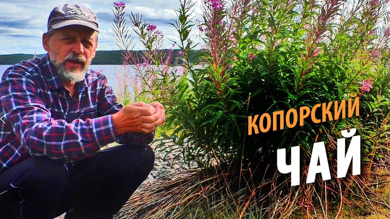#13 Остров Борщовец | Делаю Копорский чай | Поход 2021