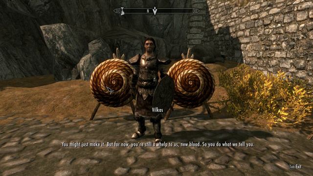 Inept Retard Plays Through Skyrim Blind. Ep 9: "In Search of a Companion"