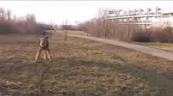Басю привезли гулять
