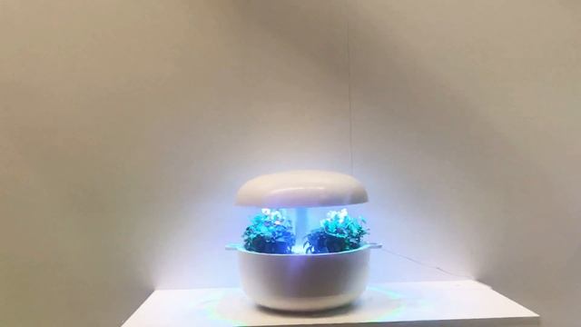 Plantui Smart Garden: Plantui 6 & Plantui 3e At IFA Berlin 2018 - Englisch