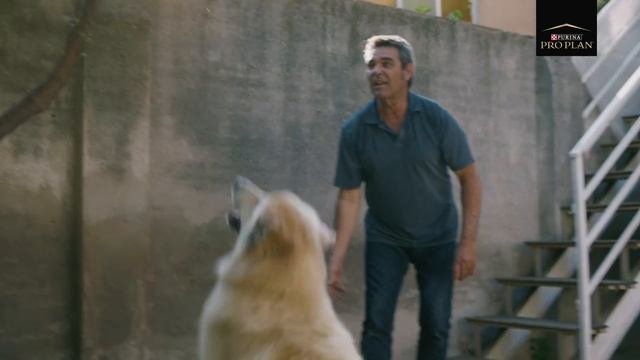 Purina Pro Plan Optiage Spot 20