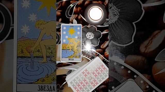 15 февраля Карта дня