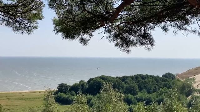 ОБСЛУЖИВАЛА ДО ДРОЖИ В КОЛЕНЯХ. Истории из жизни. Аудио рассказы, измена жены