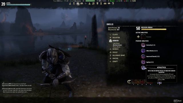 Elder Scrolls Online: Nightblade bow build for leveling