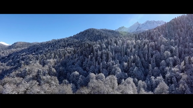 Кавказский Заповедник