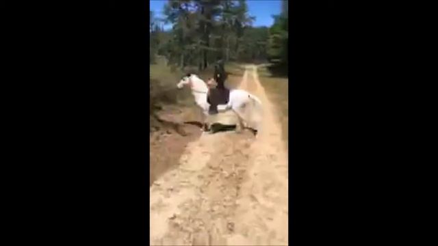 A G E 2017 Massachusetts Monopoly TRAIL RIDE filmed by Twombly Publishing
