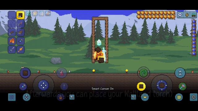 NPC House Easy!! | Terraria