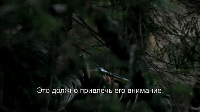 Охота на бобра