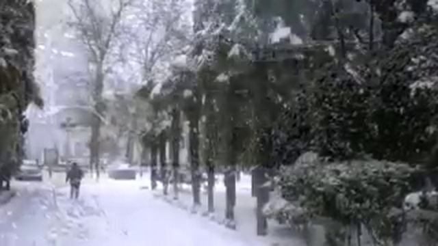 Белый снег