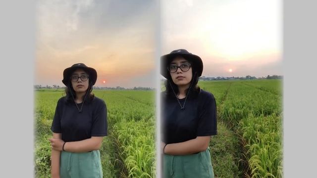 iPHONE 11 VS XIAOMI 12 LITE | CAMERA TEST BATTLE KAMERA VIDEO