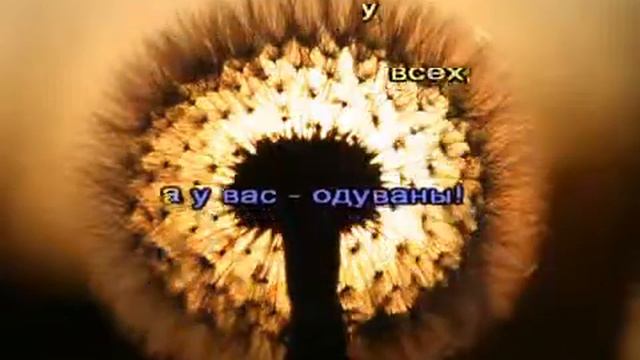 Вахтанг Кикабидзе   Одуванчики