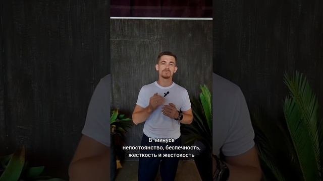 Разбор числа сознания 5