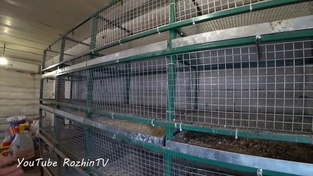 Теплый птичник из старого дома после зимовки