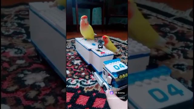 1000018840.mp4
