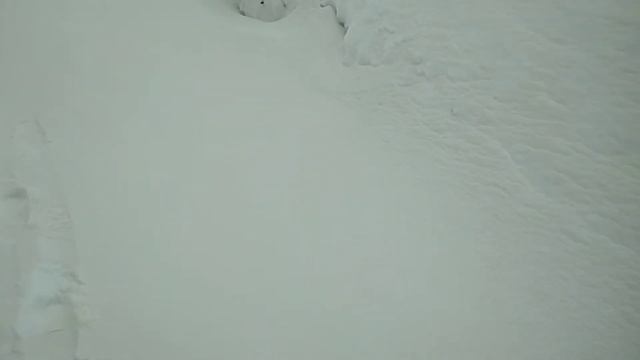 Вот тебе красный снег....Кызыл кар ява ..
