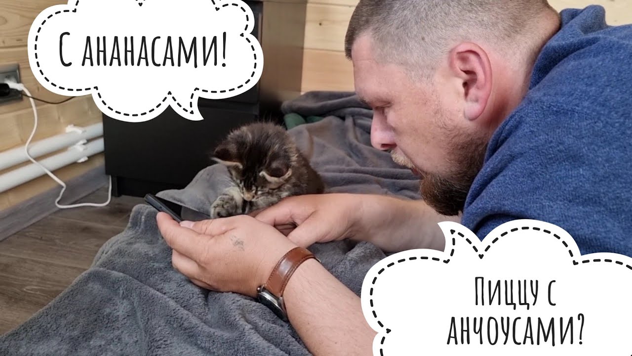 Артём занимается развитием котёнка, а имя всё не одобряет