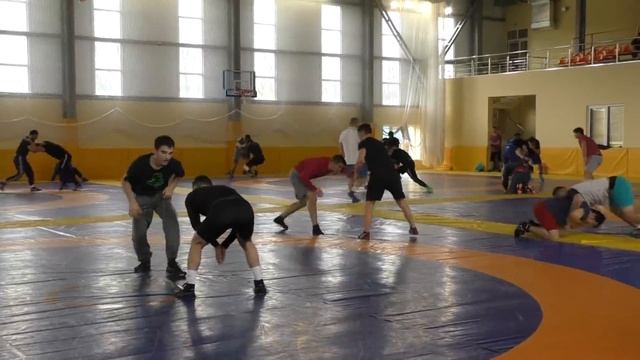 Тренировка борцов в академии борьбы им.Аслана Хадарцева.