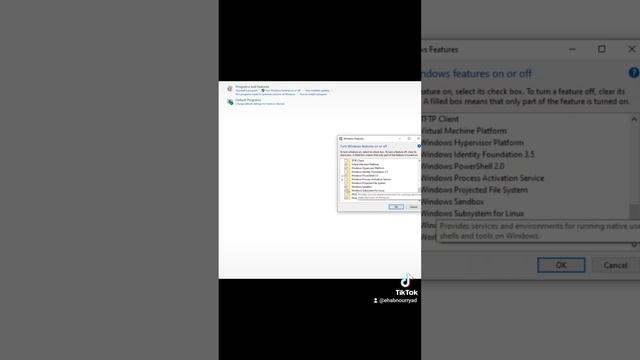 windows Sandbox