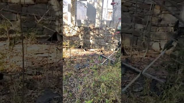 Нашими сапёрными щупами работают сапёры МЧС ЛНР.