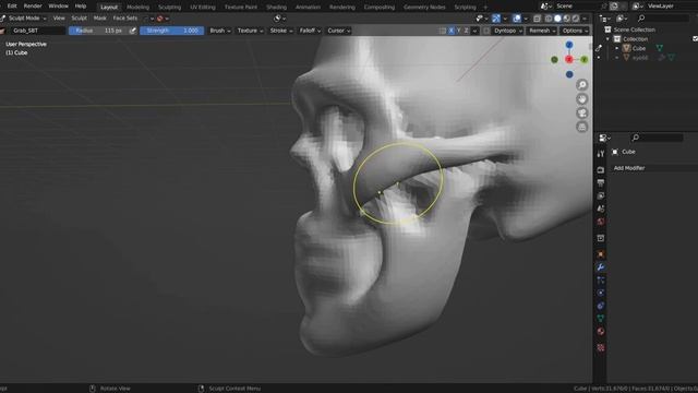 Sculpting Male Skull In Blender | Timelapse