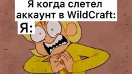 Я когда слетел аккаунт в WildCraft (придумала я сама)