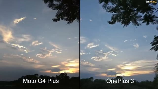 OnePlus 3 vs Moto G4 Plus Camera Comparison