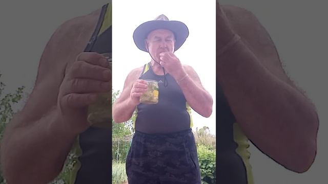 Пью цветочный чай на даче с финиками