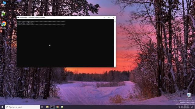 Installing Microsoft Store on Windows 10 LTSC (tutorial)