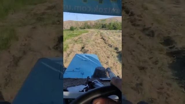 Выгодная сделка по сену. 2 этап. Гребём.