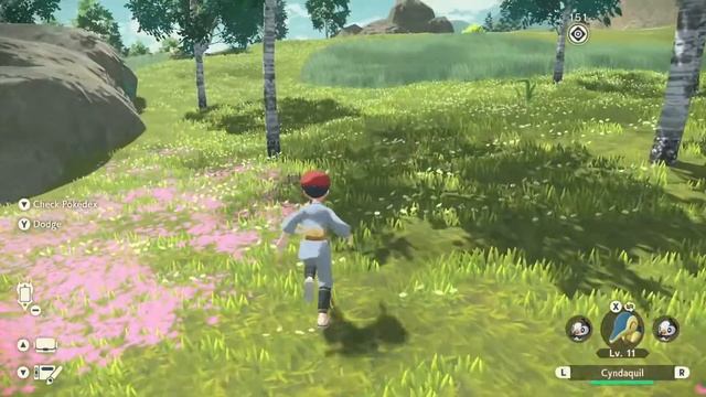 Прохождение Pokémon Legends: Arceus на Русском. #3. Первая охота.