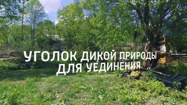 Дикая усадьба Супонево. АН Анавика: Недвижимость