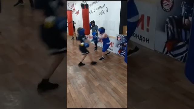 Тимофей. Бокс. Батыр. Тюмень. 16.11.2023