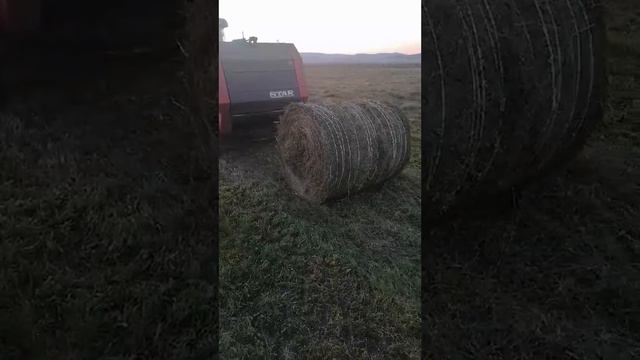 Пресс Подборшики