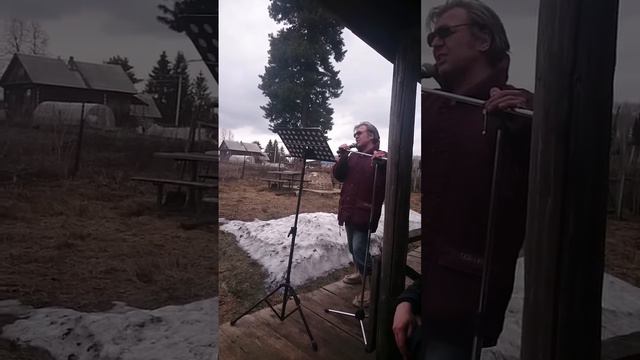 Тебеньки. Олег Маликов. Клён. Кедр. Красота