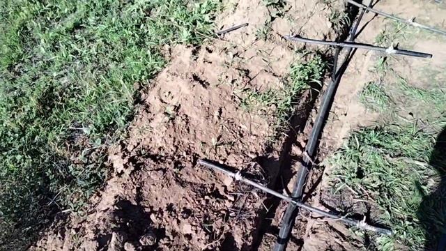 تكلفة تجهيز مزرعة الخضروات بالسقي بالتنقيط بأقل تكلفة ||أساسيات شبكة الري